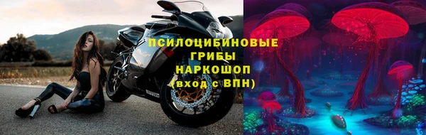 тгк Лиски