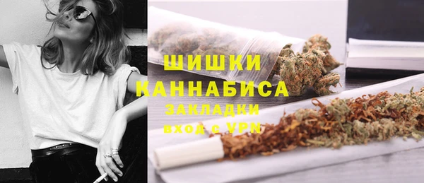 тгк Лиски