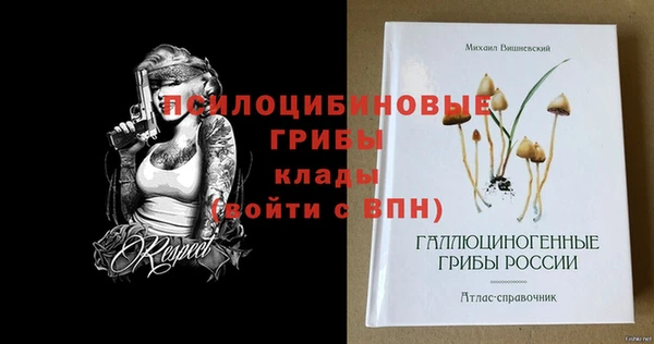 сатива Магас