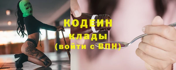 сатива Магас