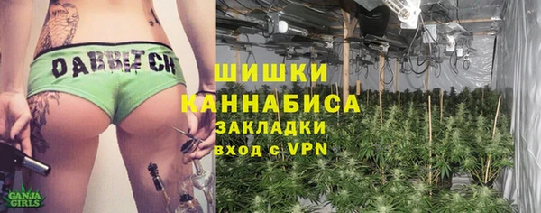 тгк Лиски
