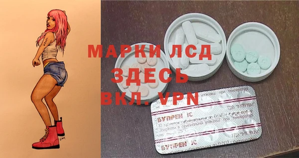 сатива Магадан