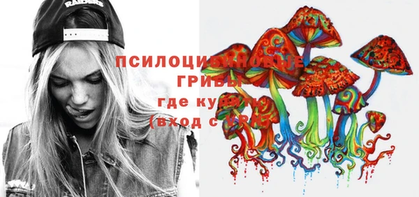 сатива Магадан