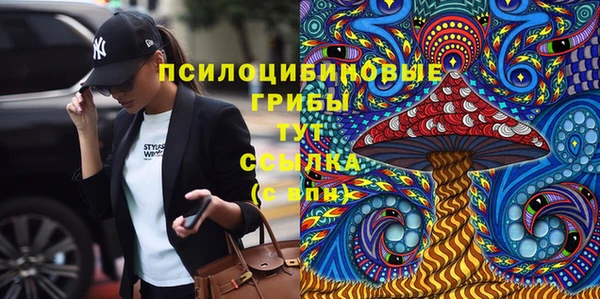 тгк Лиски
