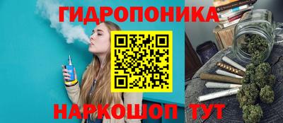 ПСИЛОЦИБИНОВЫЕ ГРИБЫ Гагарин