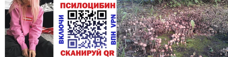 сколько стоит  Ржев  Галлюциногенные грибы ЛСД 