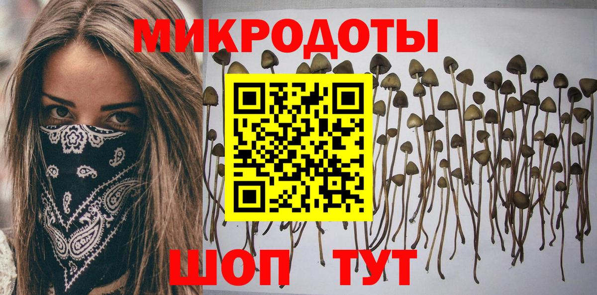 Галлюциногенные грибы Psilocybine cubensis  Ржев  Псилоцибиновые грибы MAGIC MUSHROOMS 