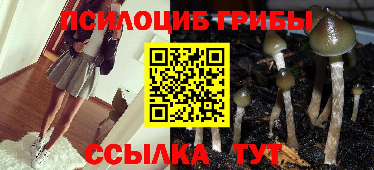 Псилоцибиновые грибы ЛСД Ржев